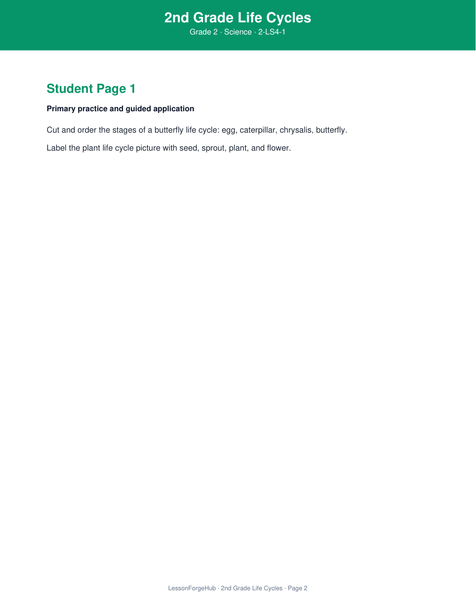 2nd Grade Life Cycles gallery image 2