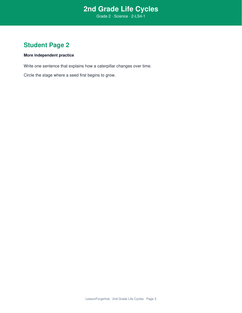 2nd Grade Life Cycles gallery image 3